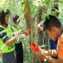 ปลูกป่าและบวชต้นไม้